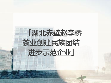 湖北赤壁赵李桥茶业创建民族团结进步示范企业