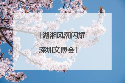湖湘风潮闪耀深圳文博会