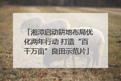湘潭启动耕地布局优化两年行动 打造“百千万亩”良田示范片