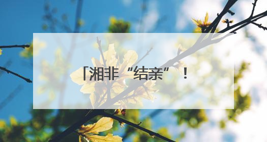 湘非“结亲”！湖南八市与非洲九城缔结友好城市
