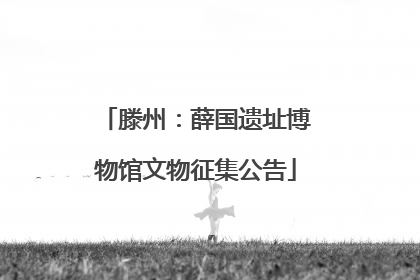 滕州：薛国遗址博物馆文物征集公告