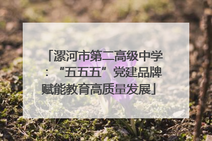 漯河市第二高级中学：“五五五”党建品牌赋能教育高质量发展