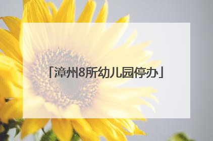 漳州8所幼儿园停办
