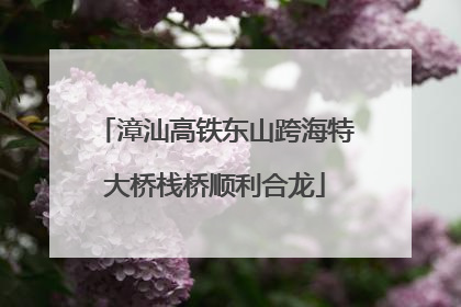 漳汕高铁东山跨海特大桥栈桥顺利合龙