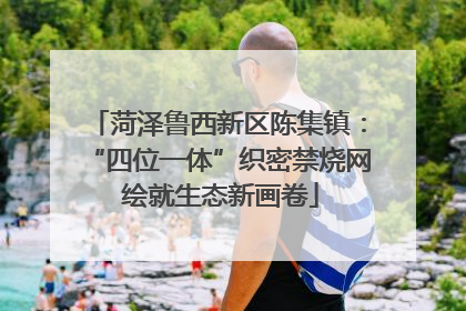菏泽鲁西新区陈集镇：“四位一体”织密禁烧网 绘就生态新画卷
