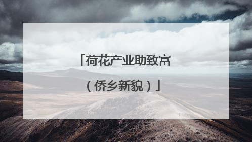 荷花产业助致富（侨乡新貌）