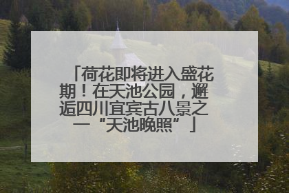 荷花即将进入盛花期！在天池公园，邂逅四川宜宾古八景之一“天池晚照”