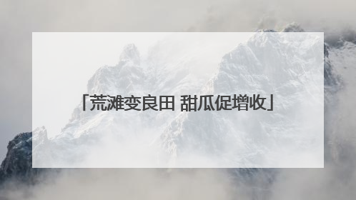 荒滩变良田 甜瓜促增收