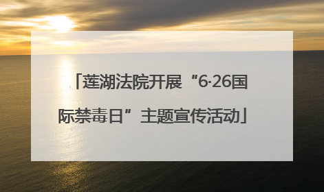 莲湖法院开展“6·26国际禁毒日”主题宣传活动