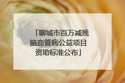 聊城市百万减残脑血管病公益项目资助标准公布