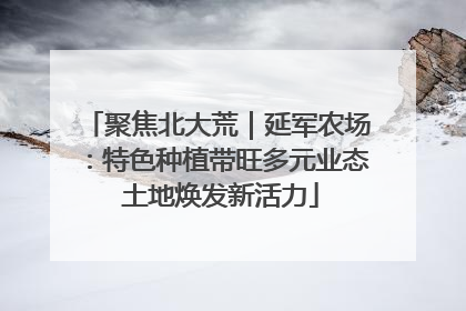 聚焦北大荒｜延军农场：特色种植带旺多元业态 土地焕发新活力