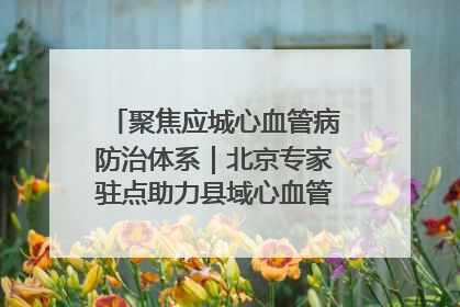 聚焦应城心血管病防治体系｜北京专家驻点助力县域心血管诊疗技术突破
