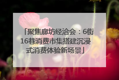 聚焦廊坊经洽会：6街16巷消费市集搭建沉浸式消费体验新场景