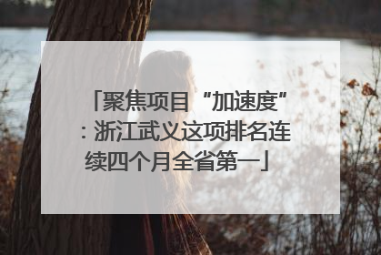 聚焦项目“加速度”：浙江武义这项排名连续四个月全省第一