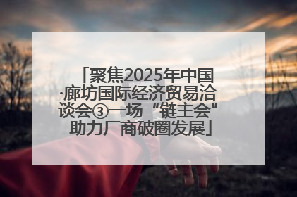 聚焦2025年中国·廊坊国际经济贸易洽谈会③一场“链主会” 助力厂商破圈发展
