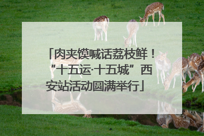 肉夹馍喊话荔枝鲜！“十五运·十五城”西安站活动圆满举行