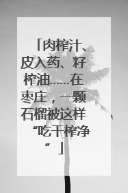 肉榨汁、皮入药、籽榨油……在枣庄，一颗石榴被这样“吃干榨净”