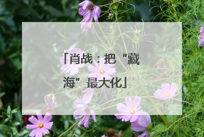 肖战：把“藏海”最大化