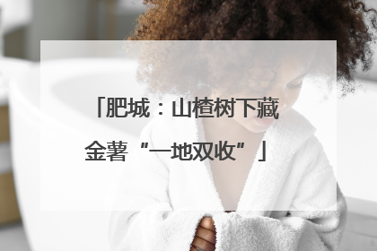 肥城：山楂树下藏金薯“一地双收”