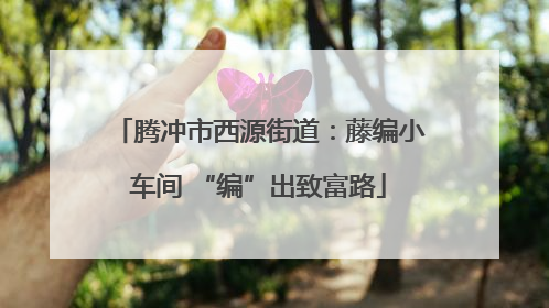 腾冲市西源街道：藤编小车间 “编”出致富路