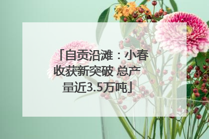 自贡沿滩：小春收获新突破 总产量近3.5万吨