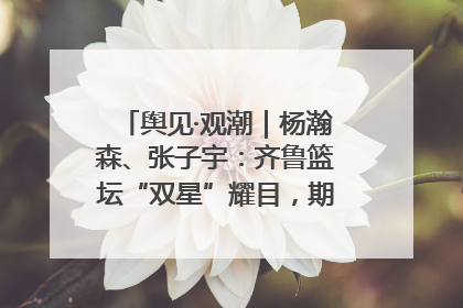 舆见·观潮｜杨瀚森、张子宇：齐鲁篮坛“双星”耀目，期许与挑战并存