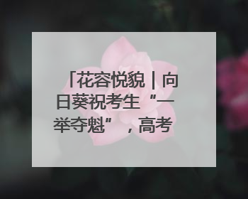 花容悦貌｜向日葵祝考生“一举夺魁”，高考带动鲜花热潮