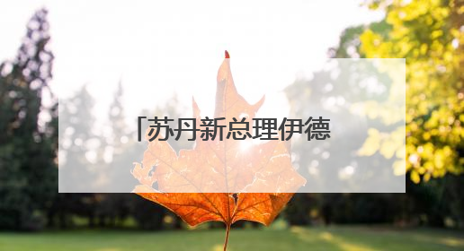 苏丹新总理伊德里斯宣誓就职