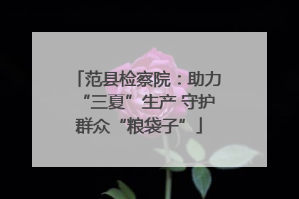 范县检察院：助力“三夏”生产 守护群众“粮袋子”