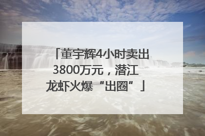 董宇辉4小时卖出3800万元，潜江龙虾火爆“出圈”