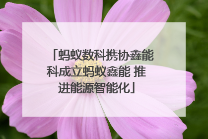 蚂蚁数科携协鑫能科成立蚂蚁鑫能 推进能源智能化