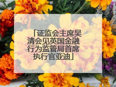 证监会主席吴清会见英国金融行为监管局首席执行官亚迪