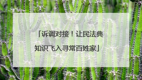 诉调对接！让民法典知识飞入寻常百姓家