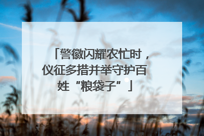 警徽闪耀农忙时，仪征多措并举守护百姓“粮袋子”