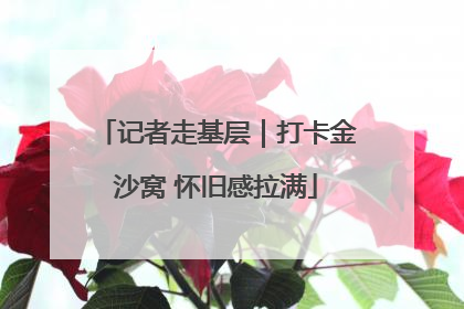 记者走基层｜打卡金沙窝 怀旧感拉满