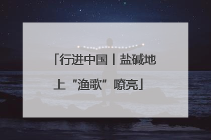 行进中国丨盐碱地上“渔歌”嘹亮