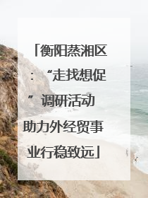 衡阳蒸湘区：“走找想促”调研活动 助力外经贸事业行稳致远