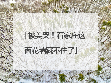 被美哭！石家庄这面花墙藏不住了