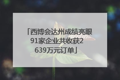 西博会达州成绩亮眼 91家企业共收获2639万元订单