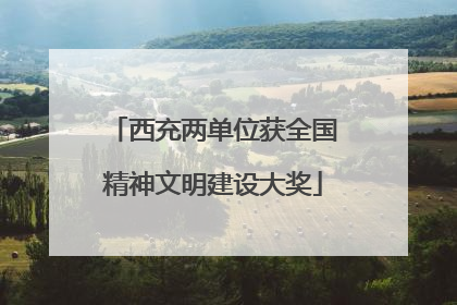西充两单位获全国精神文明建设大奖