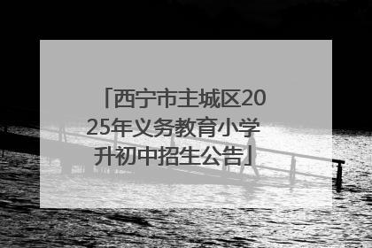西宁市主城区2025年义务教育小学升初中招生公告