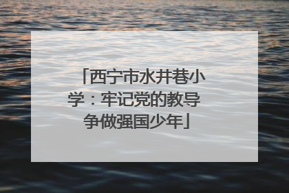 西宁市水井巷小学：牢记党的教导 争做强国少年