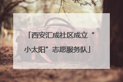西安汇成社区成立“小太阳”志愿服务队