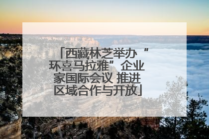 西藏林芝举办“环喜马拉雅”企业家国际会议 推进区域合作与开放