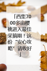 西集7000多亩樱桃进入最佳采摘期！这份“安心攻略”请收好
