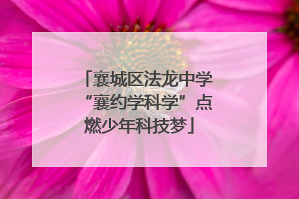 襄城区法龙中学“襄约学科学”点燃少年科技梦
