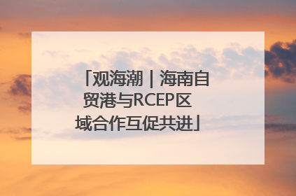 观海潮｜海南自贸港与RCEP区域合作互促共进