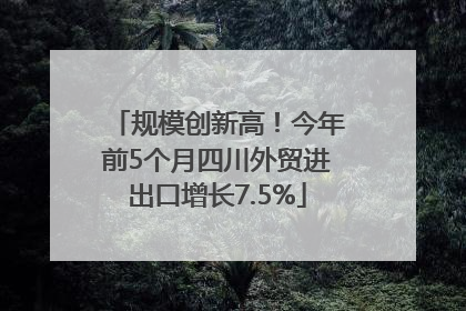 规模创新高！今年前5个月四川外贸进出口增长7.5%