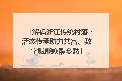 解码浙江传统村落：活态传承助力共富、数字赋能唤醒乡愁