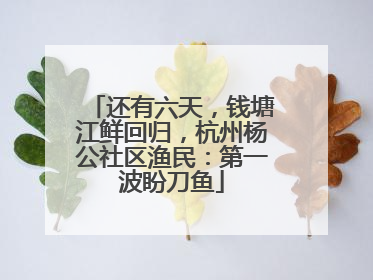 还有六天，钱塘江鲜回归，杭州杨公社区渔民：第一波盼刀鱼